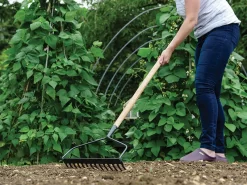 Kent & Stowe Long Handled Soil Rake, FSC®