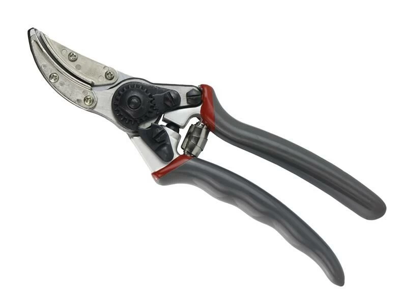 Kent & Stowe Rose 'Cut & Hold' Secateurs