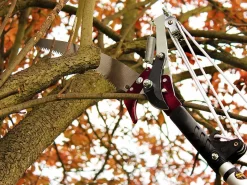Kent & Stowe Telescopic Tree Pruner 3m
