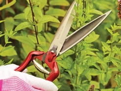 Kent & Stowe Perennial Hand Shears