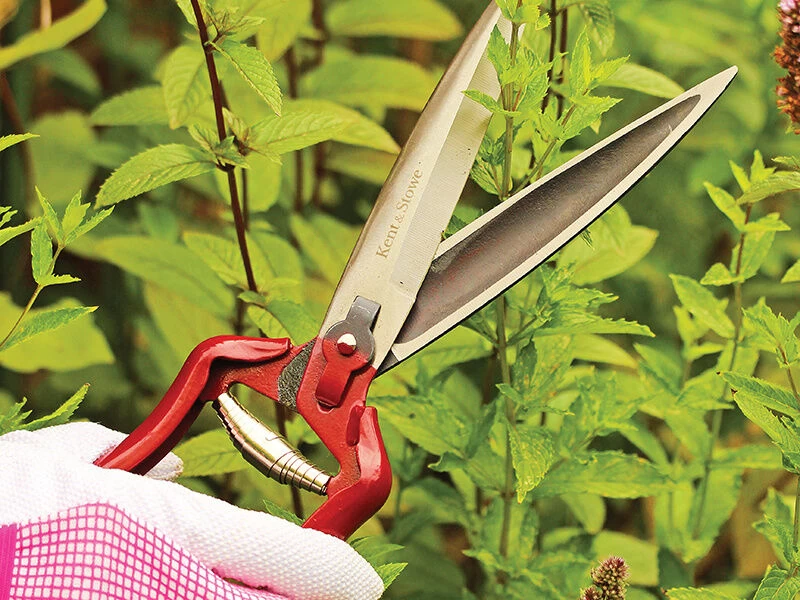 Kent & Stowe Perennial Hand Shears