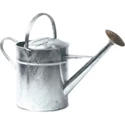 Ambassador AGWC2 Galvanised Watering Can